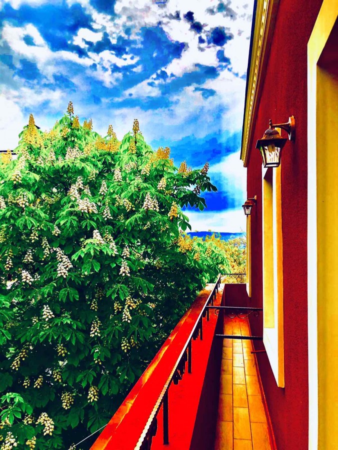Balcony / Double Room with Balcony