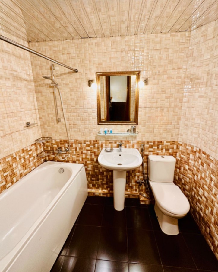 Bathroom / Semi-Suite